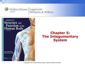 Structure of the Skin - Wolters Kluwer Health