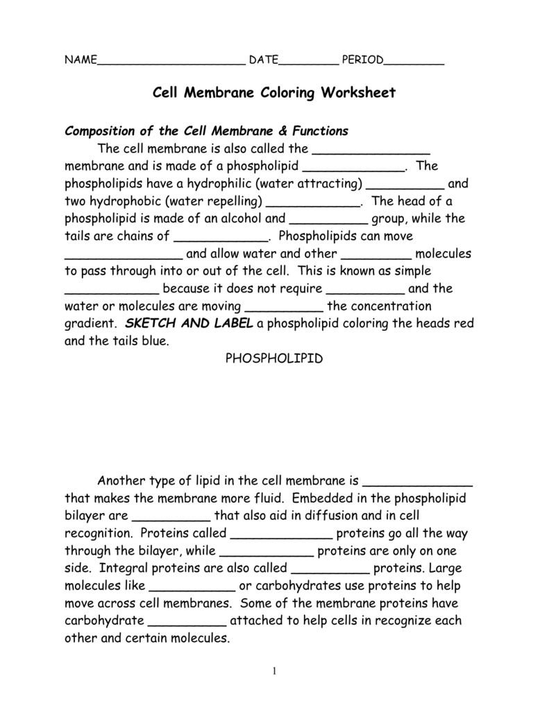 Cell Membrane Coloring Worksheet Composition of the Cell Intended For Cell Membrane Coloring Worksheet