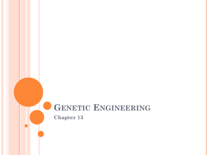 Ch. 13 - Genetic Engineering