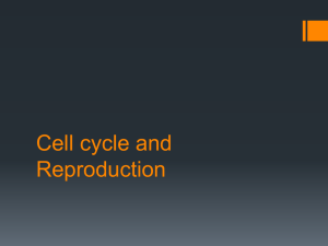 Cell cycle and Reproduction - River Dell Regional School District