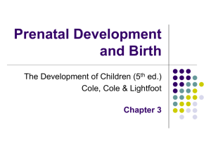 Chapter 3: Prenatal Development and Birth