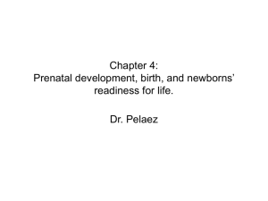 Chapter 4: Prenatal development, birth, and newborns' readiness for