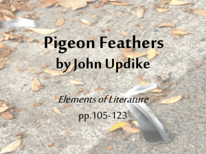 VOC LIST "Pigeon Feathers"