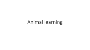 Animal learning - Stanyer Stanyer