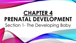 CHAPTER 4- Section 1