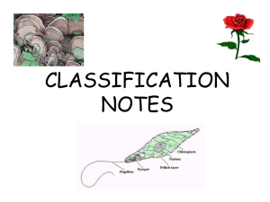 classification part 1 for blog