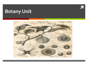 Botany Unit