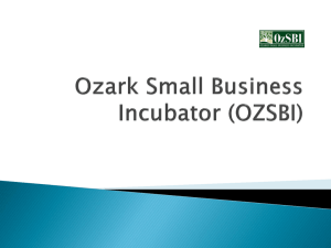 Ozark Small Business Incubator (OZSBI)