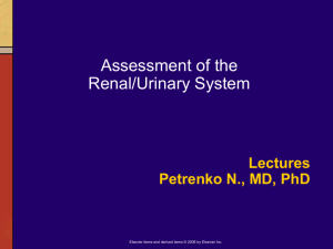 08_Assessment of urinary system