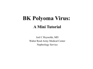 BK Polyoma Virus: