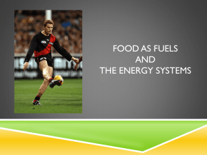 food as fuels - EDF4423PEUnitPlan