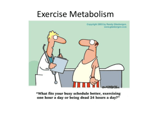 Exercise Metabolism - SHMD 339: Exercise Physiology 3
