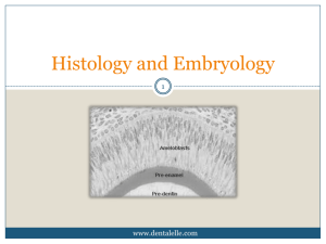 Histology and Embryology