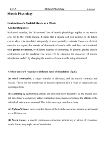 Types of Muscle Contractions