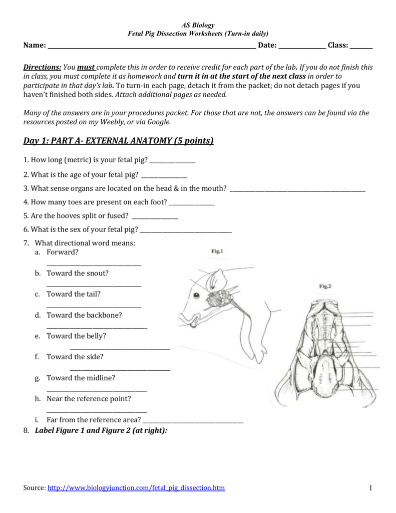 Worksheets to Complete w/ Dissection