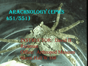 arachnology (epws 451)