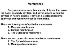 Epithelial and Connective Membranes
