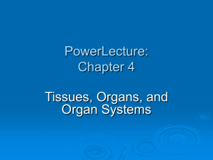 PowerLecture: Chapter 4