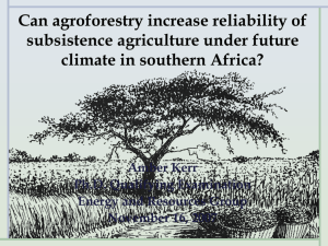 Can agroforestry reduce risk in subsistence agriculture under future