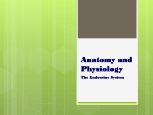 Anatomy and Physiology - Manatee School for the Arts