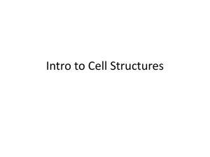 Intro to Cell Structures - Dallastown Area School District Moodle