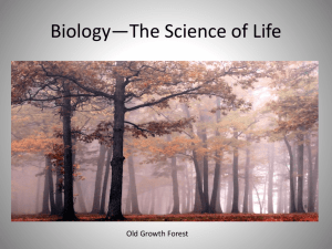 Chapter One: Introduction to Biology
