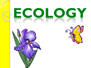 Ecology PowerPoint