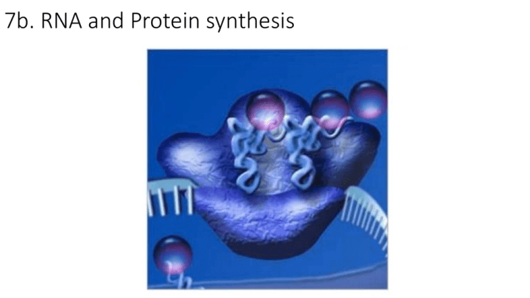 i-what-is-rna