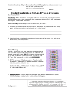 RNAProteinSynthesisSE 2015 - Jones-Bio