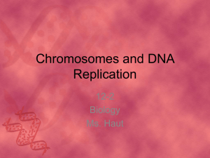 Bio Ch. 12-2 DNA Replication notes-2009
