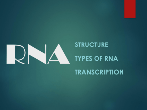 PP-RNA