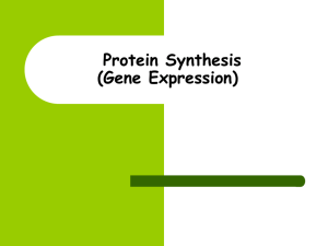 Protein Production and the Genetic Code