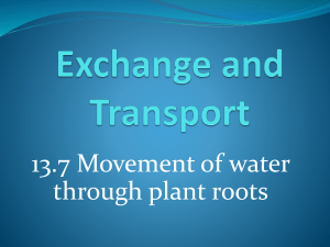 13.7 - Movement of Water Through Roots