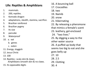 Animals Study Guide 2011