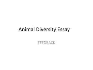 Animal Diversity Essay