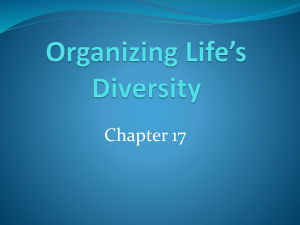 Organizing Life*s Diversity