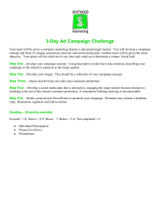 3-Day Ad Campaign Challenge