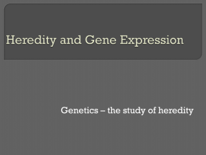 Heredity and Gene Expression