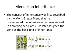 Mendelian Inheritance