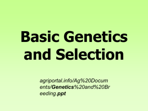 Basic Genetics and Breeding