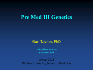 from Mendelian to modern genetics