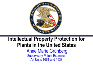 Template for PowerPoint Use - American Intellectual Property Law