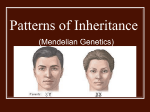 Patterns of Inheritance Powerpoint