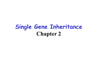 Chapter 2 - Single–gene inheritance