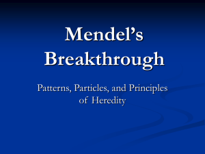 Mendel's Breakthrough