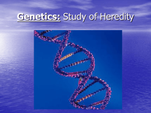 Chapter 20- Genetics: Study of Heredity