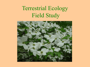 Terrestrial Ecology PowerPoint