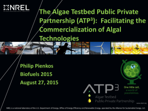 Philip T. Pienkos - Biofuels & Bioenergy