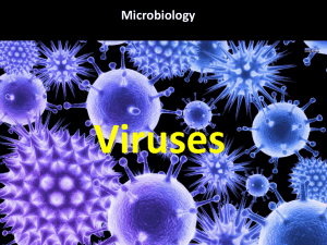 Viruses