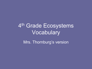 4th Grade Ecosystems Vocabulary